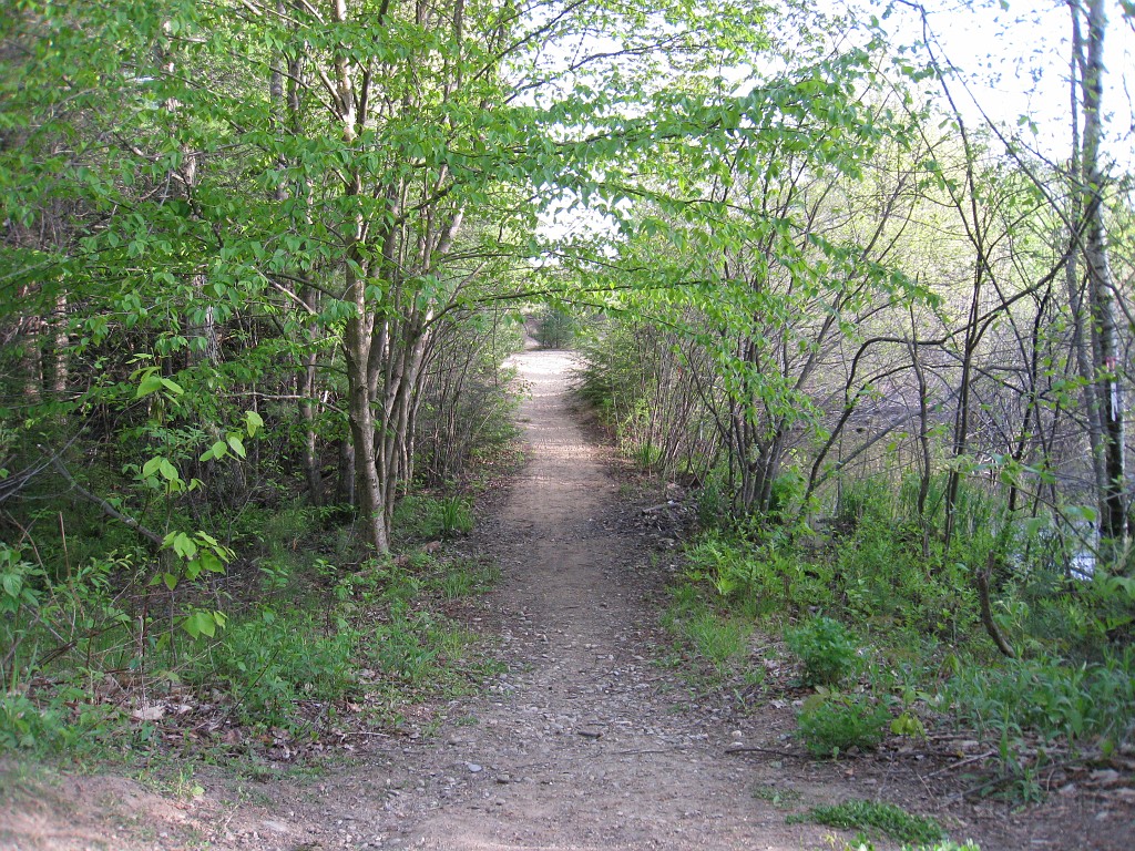 Tilton NH Rail Trail 2010 0455.jpg - .... and paths left unexplored until a future run down this trail allows time to go off the beaten path.